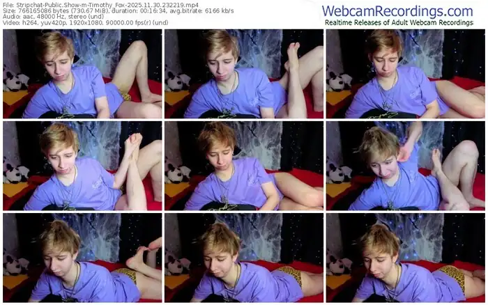 stripchat-timothy_fox-11-30-2025-23-22-19