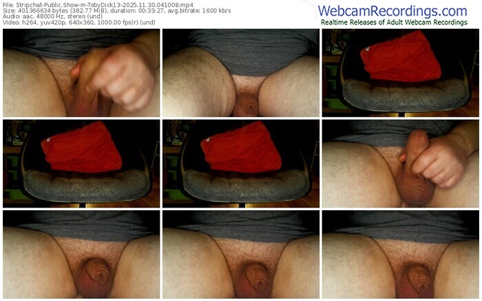 stripchat-tobydick13-11-30-2025-04-10-08