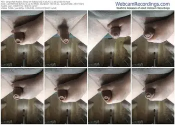 stripchat-tobydick13-11-30-2025-19-33-45