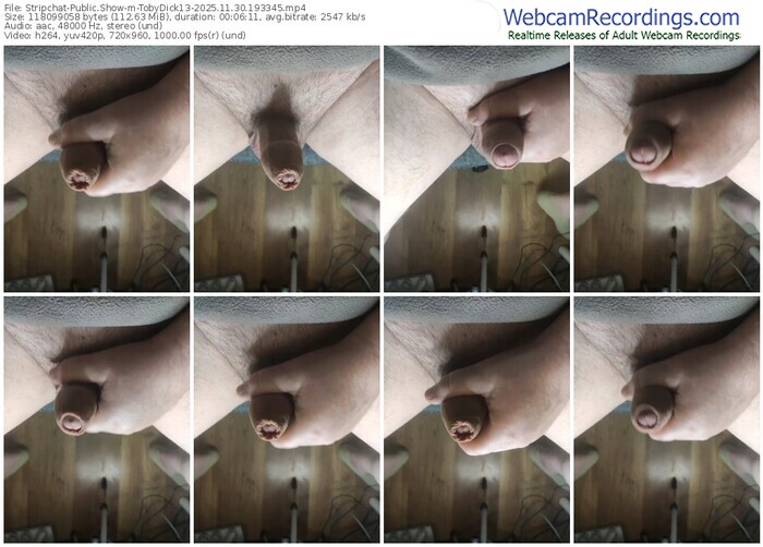 stripchat-tobydick13-11-30-2025-19-33-45