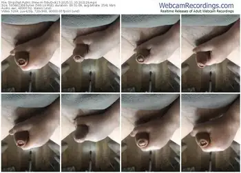 stripchat-tobydick13-11-30-2025-20-21-29