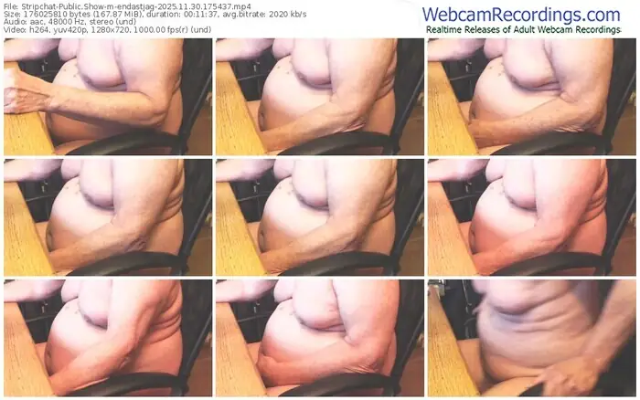 stripchat-endastjag-11-30-2025-17-54-37