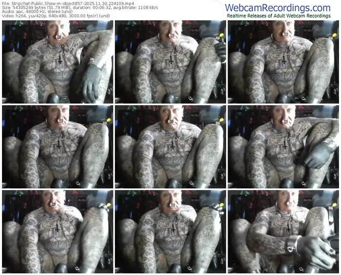 stripchat-object857-11-30-2025-22-41-09