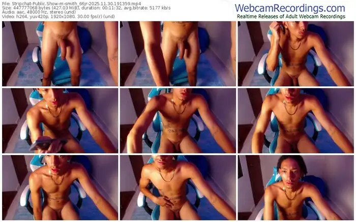 stripchat-smith_66jr-11-30-2025-19-13-59