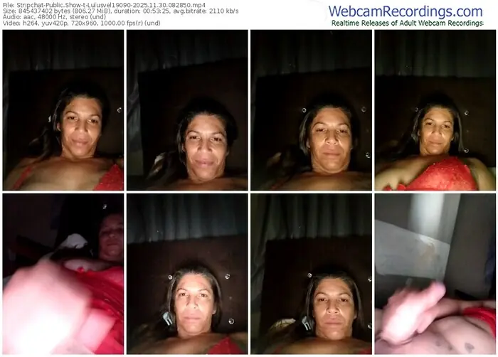 stripchat-lulusvel19090-11-30-2025-08-28-50