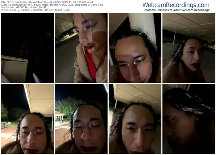 stripchat-transexualjade95-11-30-2025-09-52-02