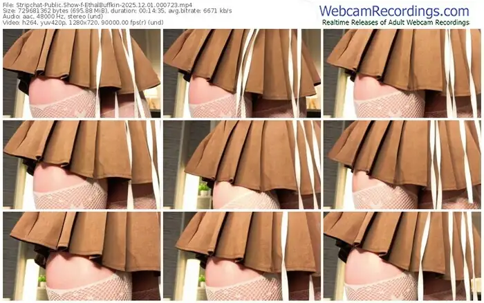 stripchat-ethalbuffkin-12-01-2025-00-07-23