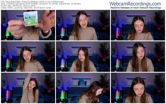 stripchat-lilibakery-12-01-2025-03-59-36