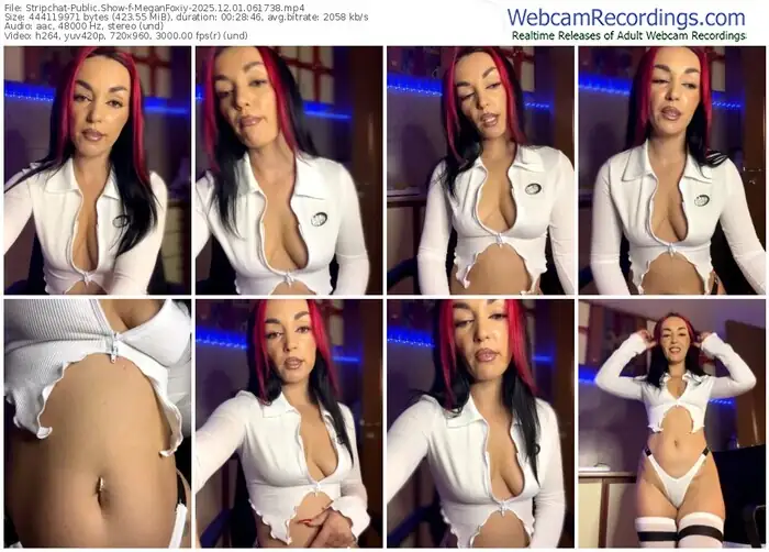 stripchat-meganfoxiy-12-01-2025-06-17-38