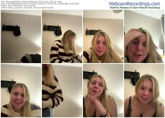 stripchat-nallinee-12-01-2025-03-57-21