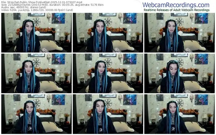 stripchat-velvetbat-12-01-2025-07-30-07