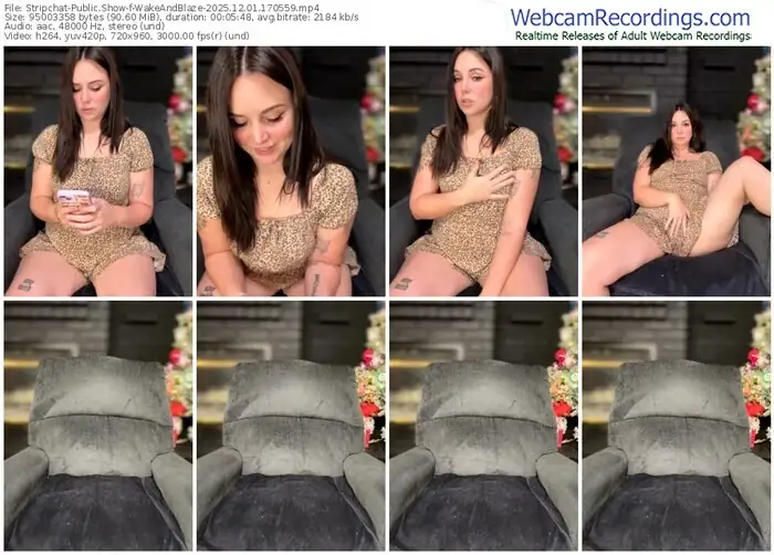 stripchat-wakeandblaze-12-01-2025-17-05-59