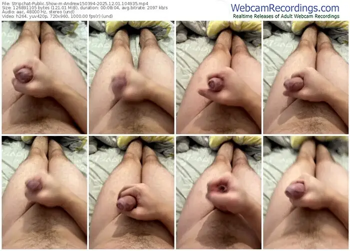 stripchat-andrew150394-12-01-2025-10-49-35