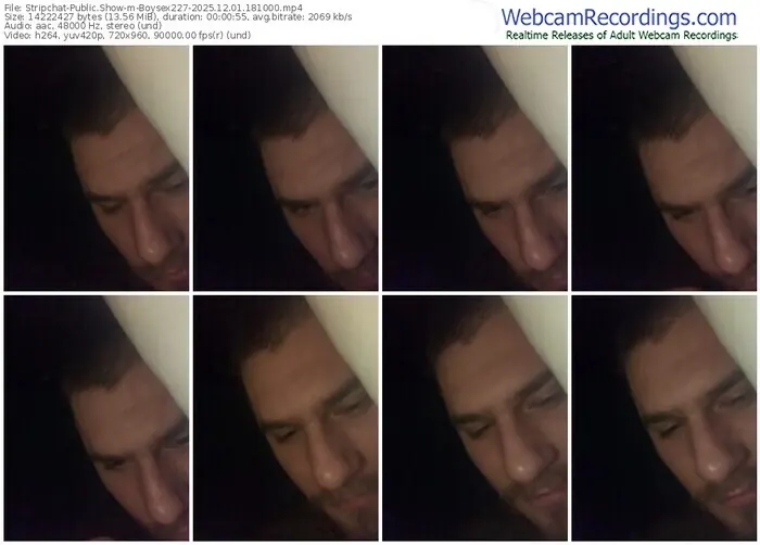 stripchat-boysex227-12-01-2025-18-10-00