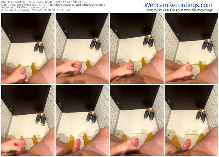 stripchat-chubbybrit-12-01-2025-15-41-43