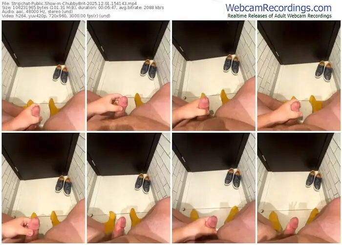 stripchat-chubbybrit-12-01-2025-15-41-43