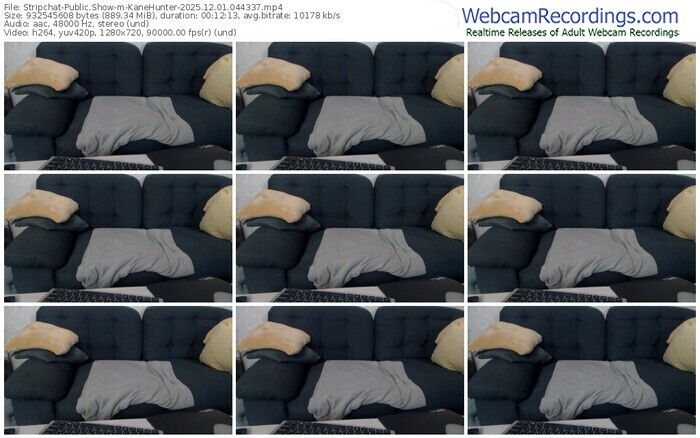 stripchat-kanehunter-12-01-2025-04-43-37