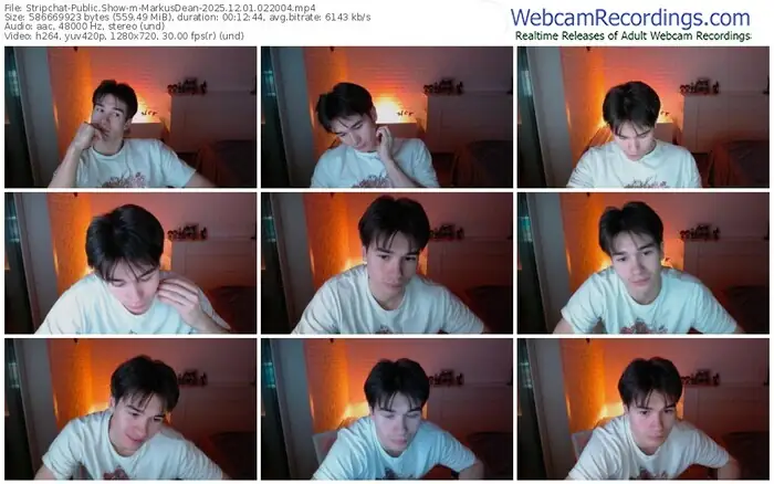 stripchat-markusdean-12-01-2025-02-20-04