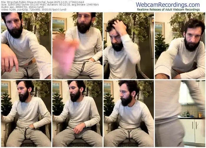stripchat-michel_huge-12-01-2025-17-36-22