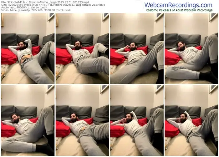 stripchat-michel_huge-12-01-2025-20-12-23