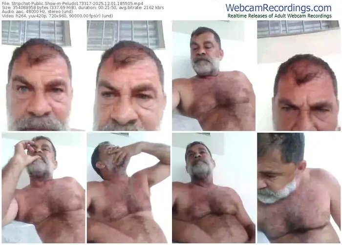 stripchat-peludo173317-12-01-2025-18-55-05