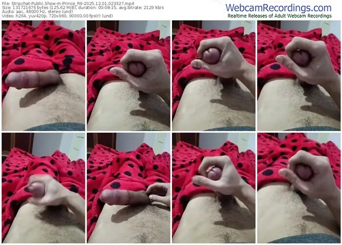 stripchat-prince_r9-12-01-2025-02-33-27