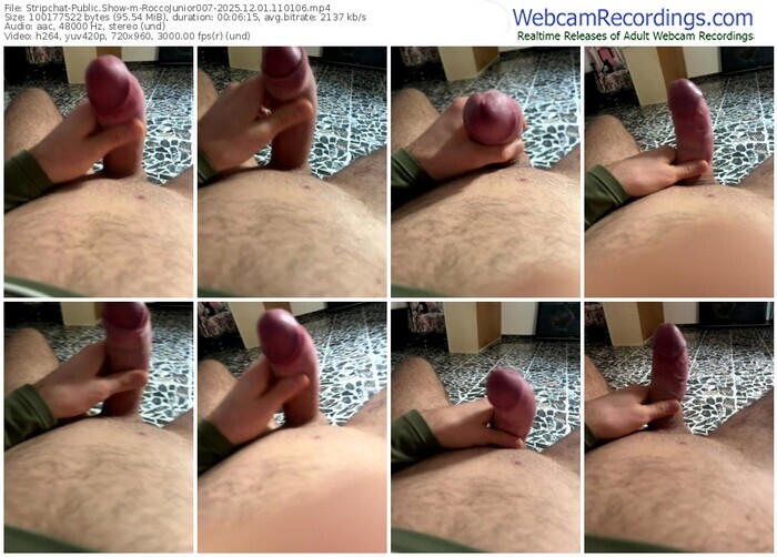 stripchat-roccojunior007-12-01-2025-11-01-06
