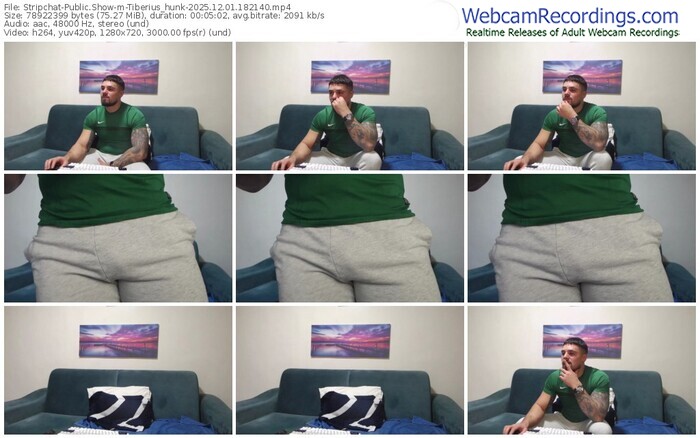 stripchat-tiberius_hunk-12-01-2025-18-21-40