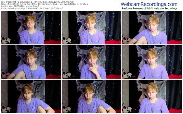 stripchat-timothy_fox-12-01-2025-00-27-02