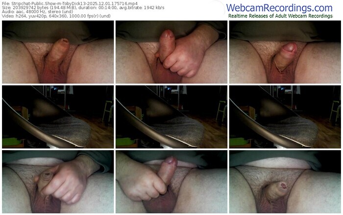stripchat-tobydick13-12-01-2025-17-57-16
