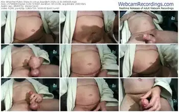 stripchat-circus_bear@xh-12-01-2025-06-59-29