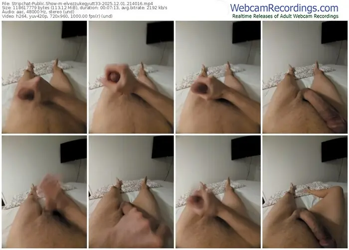 stripchat-elvezzukegyutt33-12-01-2025-21-40-16