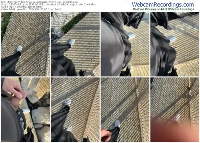 stripchat-maiolullo-12-01-2025-11-23-18