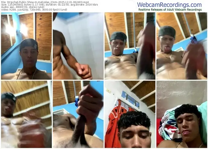 stripchat-meliodas_23cm-12-01-2025-06-24-03