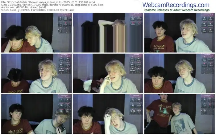 stripchat-miya_meow_miku-12-01-2025-15-39-09