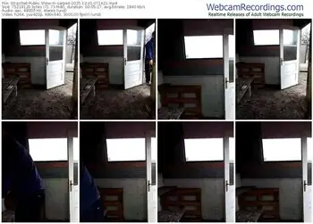 stripchat-sarpe4-12-01-2025-07-14-21