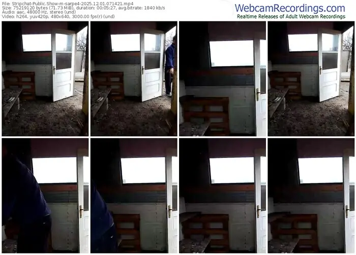 stripchat-sarpe4-12-01-2025-07-14-21