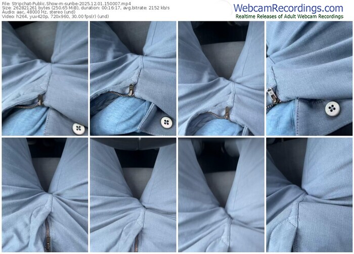 stripchat-sunbe-12-01-2025-15-00-07