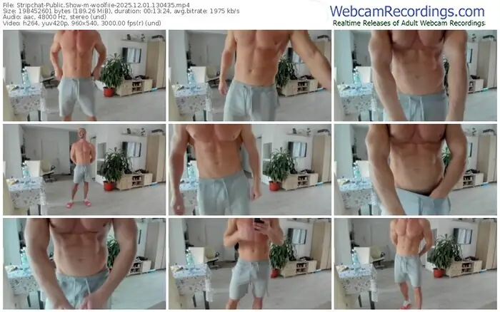stripchat-woolfiie-12-01-2025-13-04-35