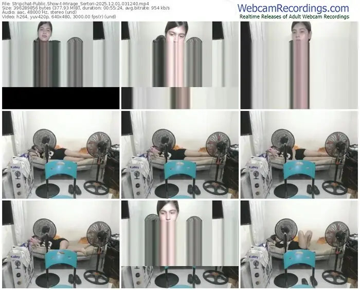 stripchat-mirage_sertori-12-01-2025-03-12-40