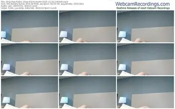 stripchat-dirtynorth-12-02-2025-14-59-18