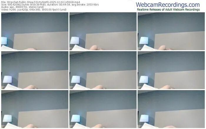 stripchat-dirtynorth-12-02-2025-14-59-18