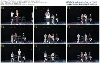 stripchat-jingdezheng-12-02-2025-11-10-31