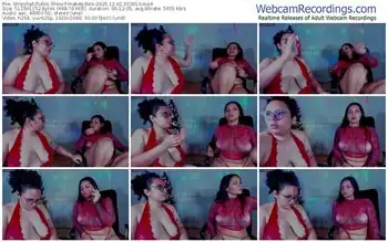 stripchat-mabelydani-12-02-2025-00-39-10