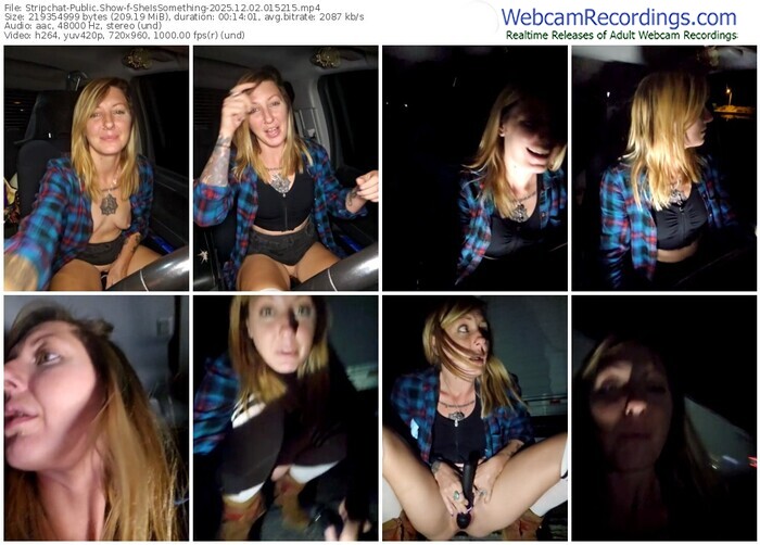 stripchat-sheissomething-12-02-2025-01-52-15