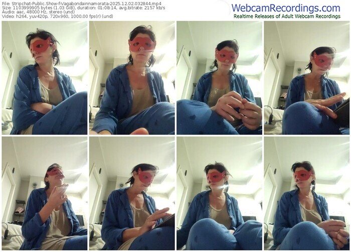 stripchat-vagabondainnamorata-12-02-2025-03-28-44