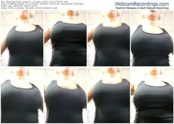 stripchat-_u_dream_-12-02-2025-15-55-31