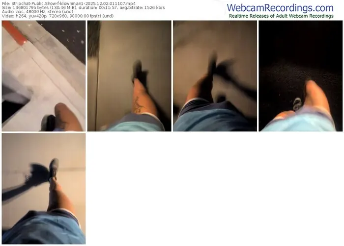 stripchat-klownman1-12-02-2025-01-11-07