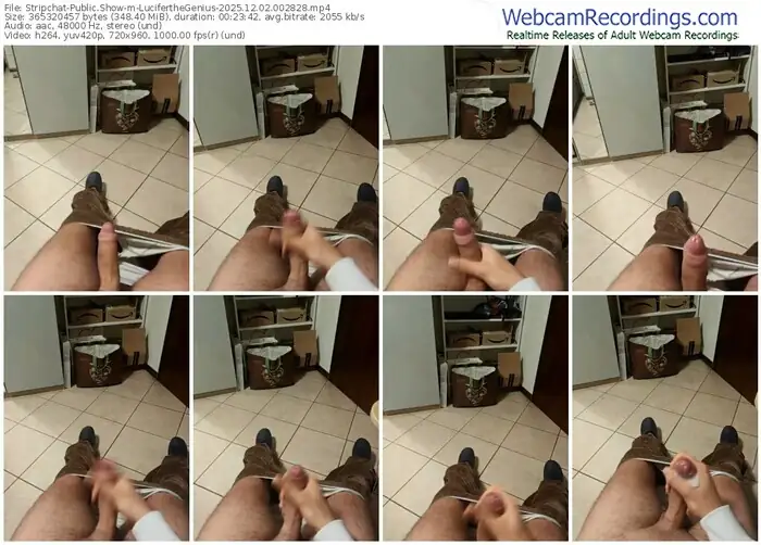 stripchat-luciferthegenius-12-02-2025-00-28-28