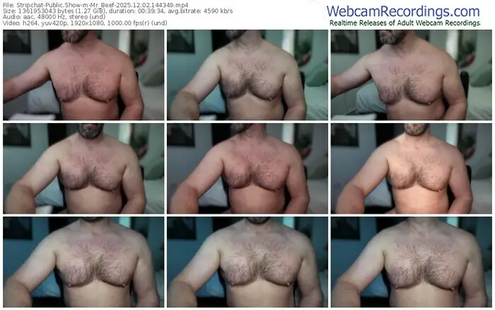 stripchat-mr_beef-12-02-2025-14-43-49
